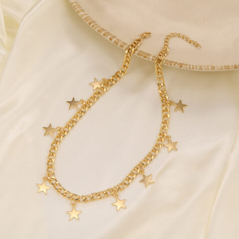 Thick Chain Clavicle star Necklace